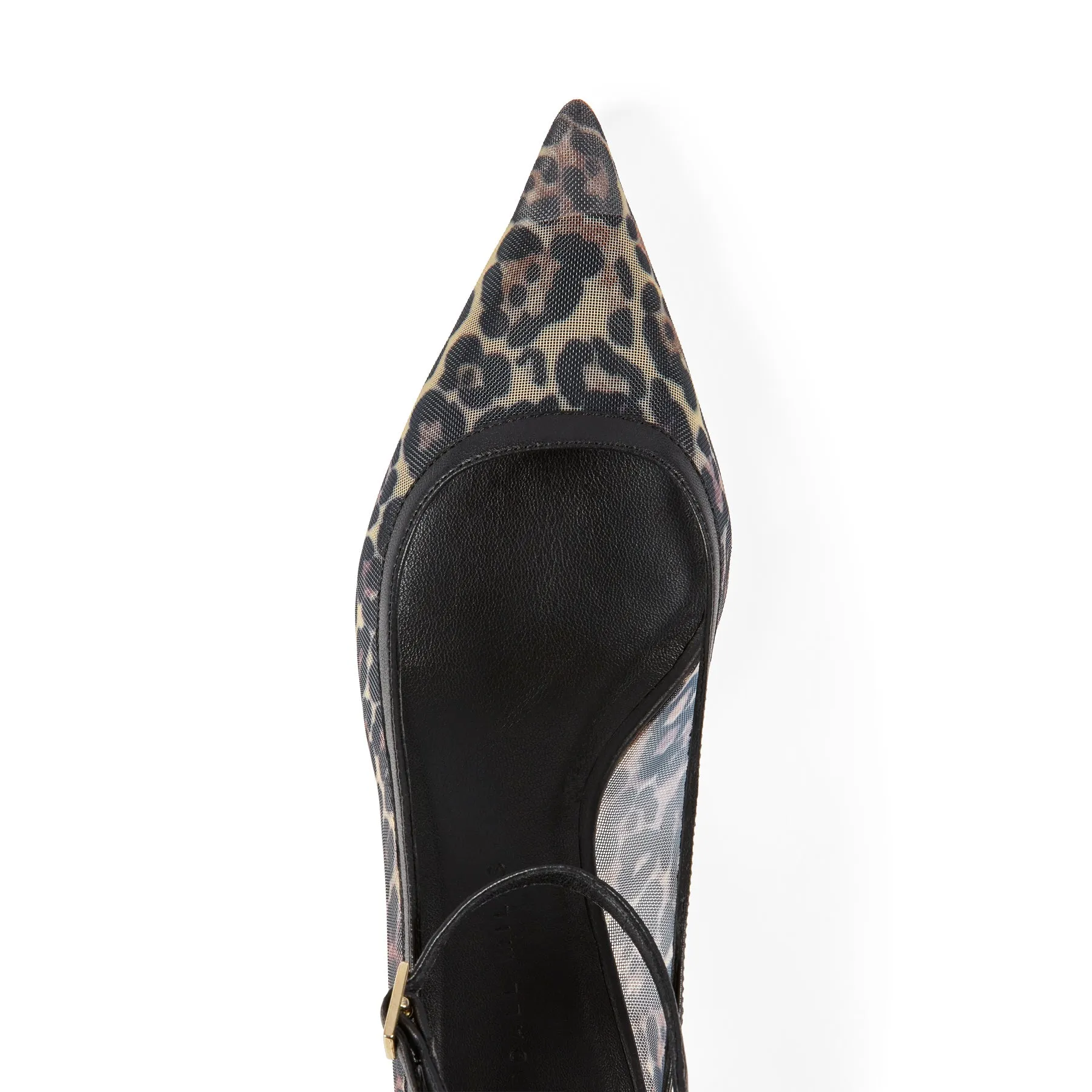 Comma Kitten Pump